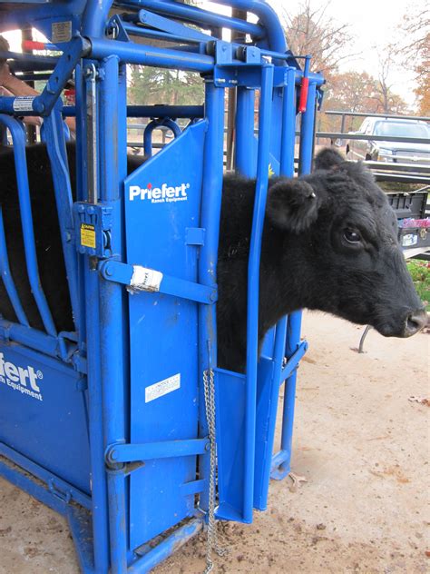 livestock equipment.